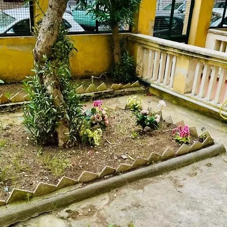 L'oleandro Di Alfredo